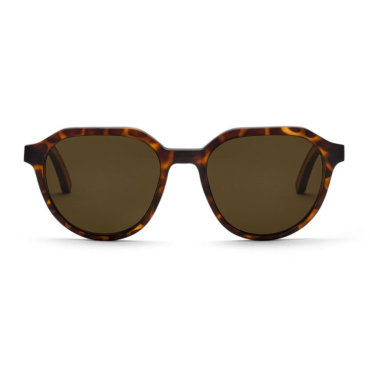 Take A Shot Francis Kirschholz I Polarized