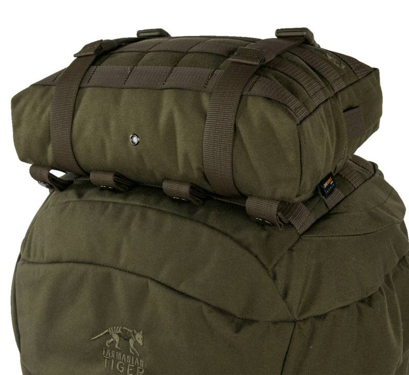 Tasmanian Tiger TT Tac Pouch 10 Rucksack-Zubehörtasche (4L)
