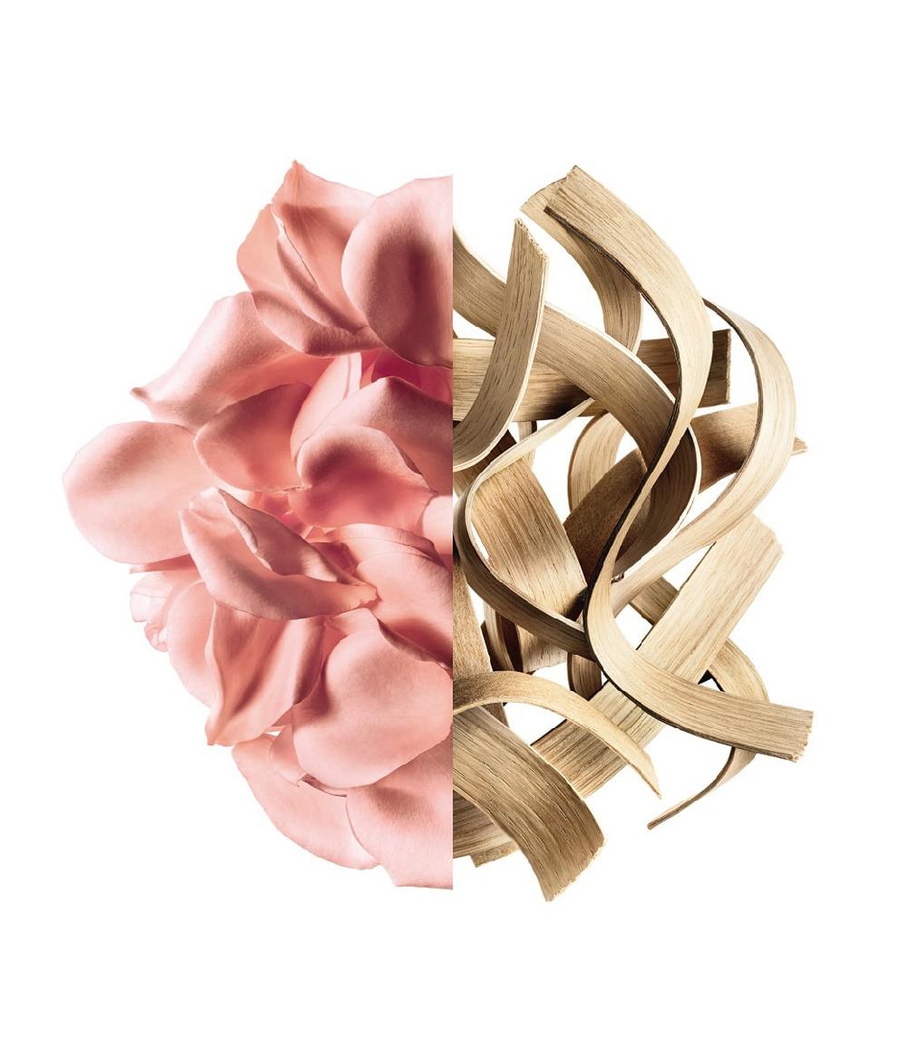 GIVENCHY Irresistible Rose Velvet