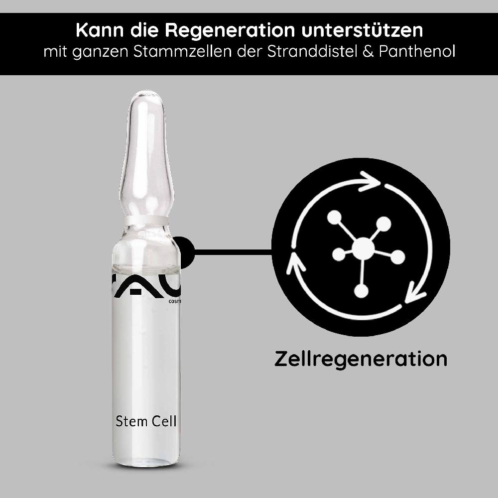 Rau Cosmetics Stem Cell Ampullen 10x2 Ml Anti Aging Für Reife Haut