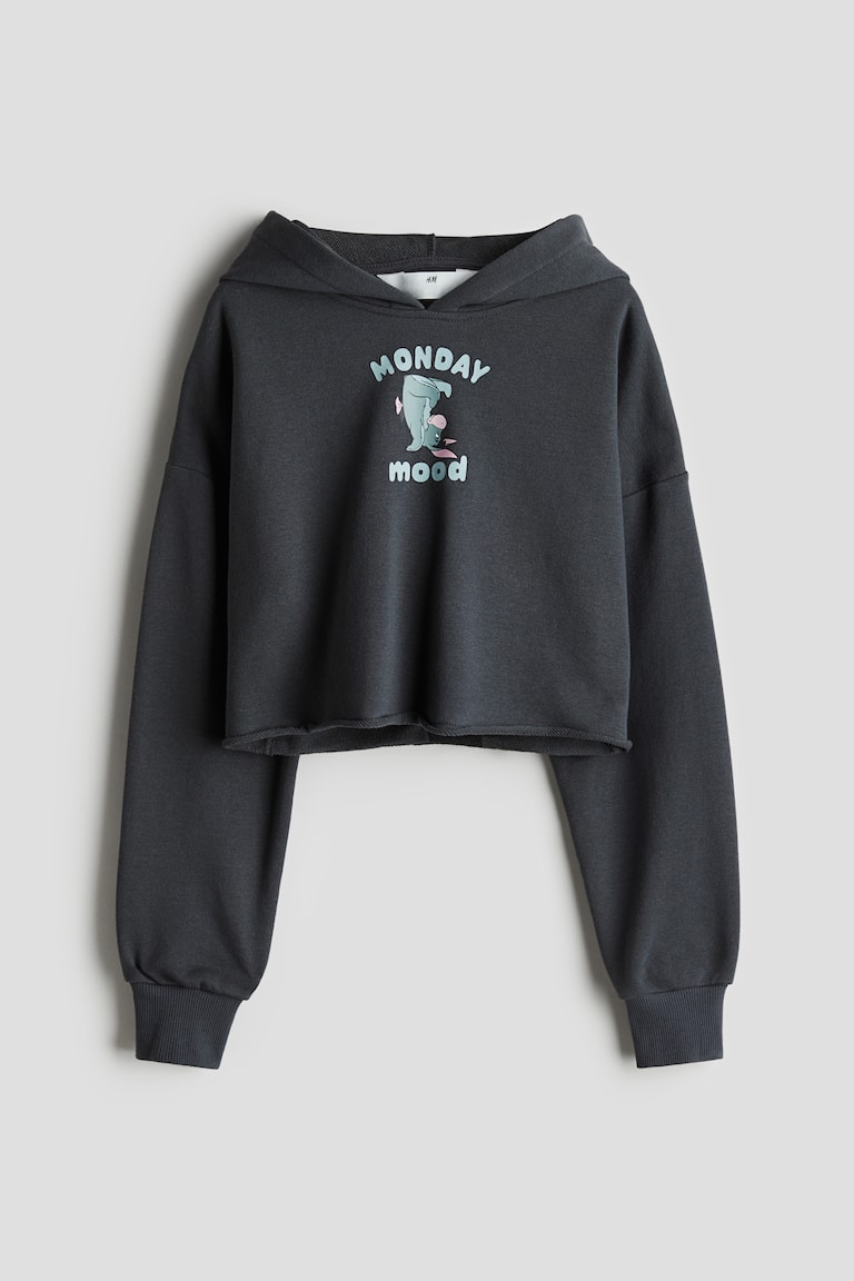 H&M Cropped Hoodie