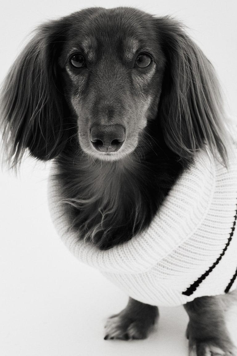 H&M Hundepullover Aus Rippstrick