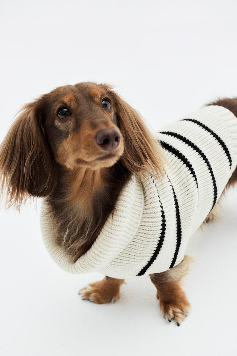 H&M Hundepullover aus Rippstrick