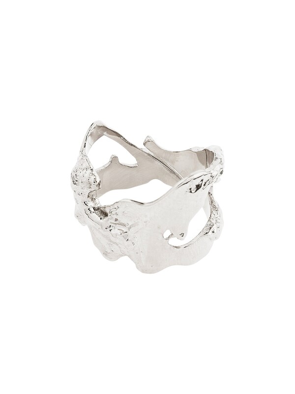 Pilgrim Pilgrim Ring 'Compass' In Silber