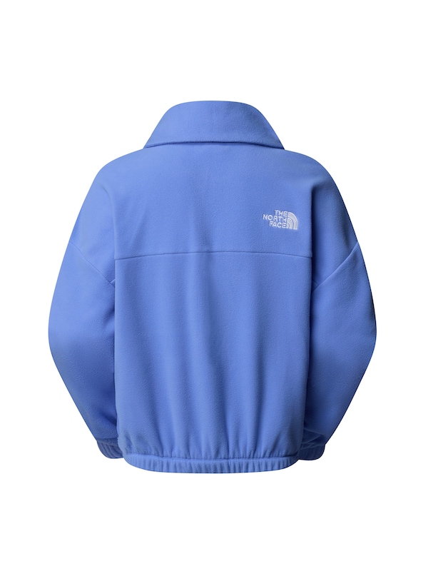 THE NORTH FACE THE NORTH FACE Sportpullover '100 Glacier' In Azur