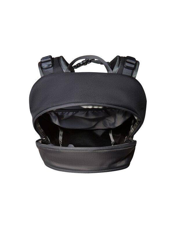 THE NORTH FACE THE NORTH FACE Sportrucksack 'Basin 15' In Schwarz