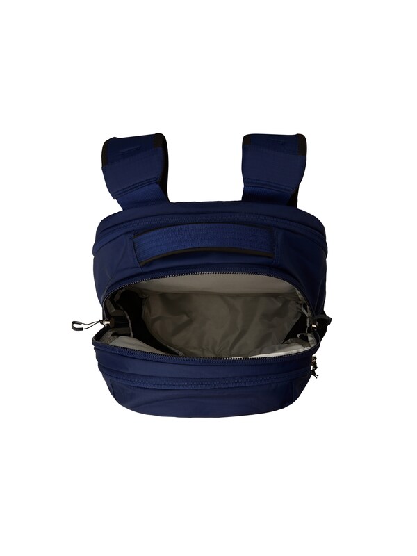 THE NORTH FACE THE NORTH FACE Sportrucksack 'Borealis' In Navy