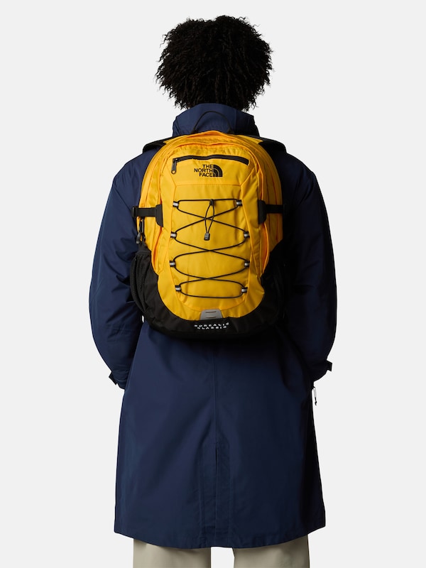 THE NORTH FACE THE NORTH FACE Sportrucksack 'BOREALIS' In Safran