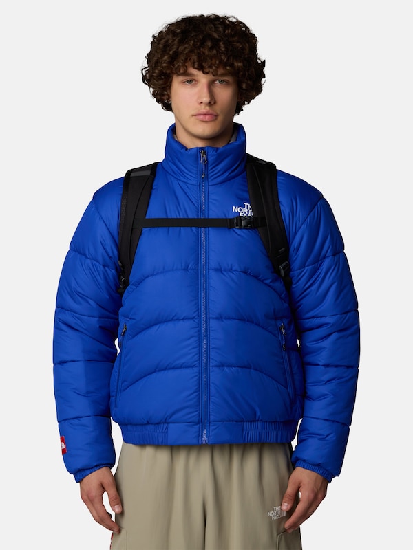 THE NORTH FACE THE NORTH FACE Sportrucksack 'Jester' In Schwarz