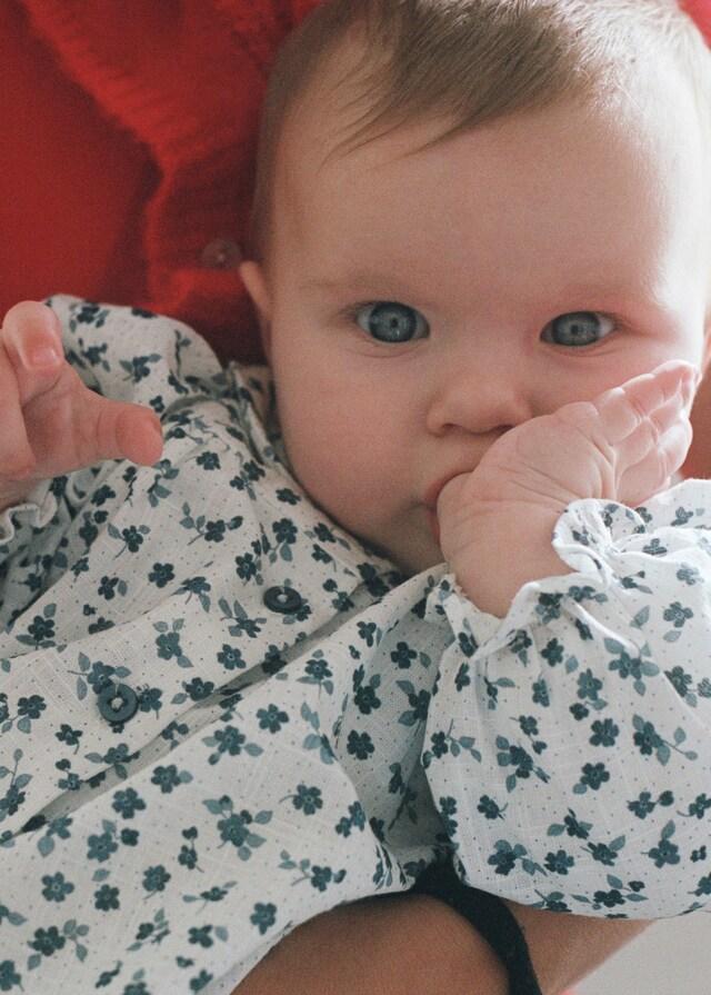 Mango Baumwollbluse mit Blumenmuster