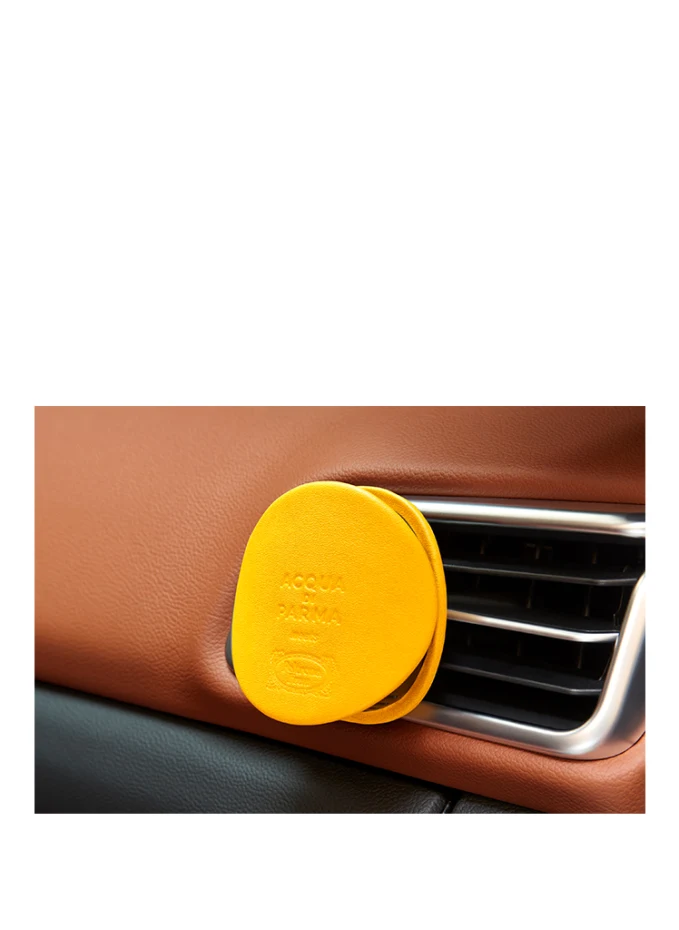 ACQUA DI PARMA ACQUA DI PARMA LUCE DI COLONIA REFILLCar Diffuser