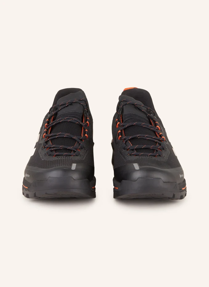 Adidas TERREX Adidas TERREX Trekkingschuhe TERREX SKYCHASER TECH GTX