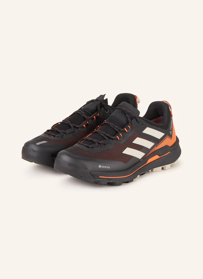 adidas TERREX adidas TERREX Trekkingschuhe TERREX SKYCHASER TECH GTX