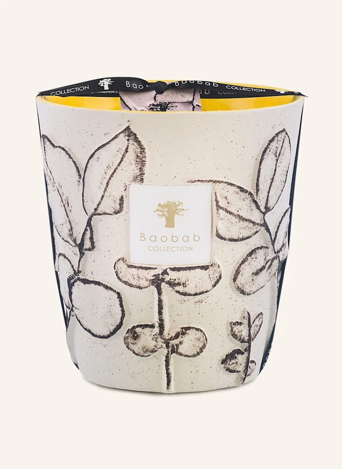 Baobab COLLECTION Baobab COLLECTION Duftkerze CALANQUEHöhe: 16 cm