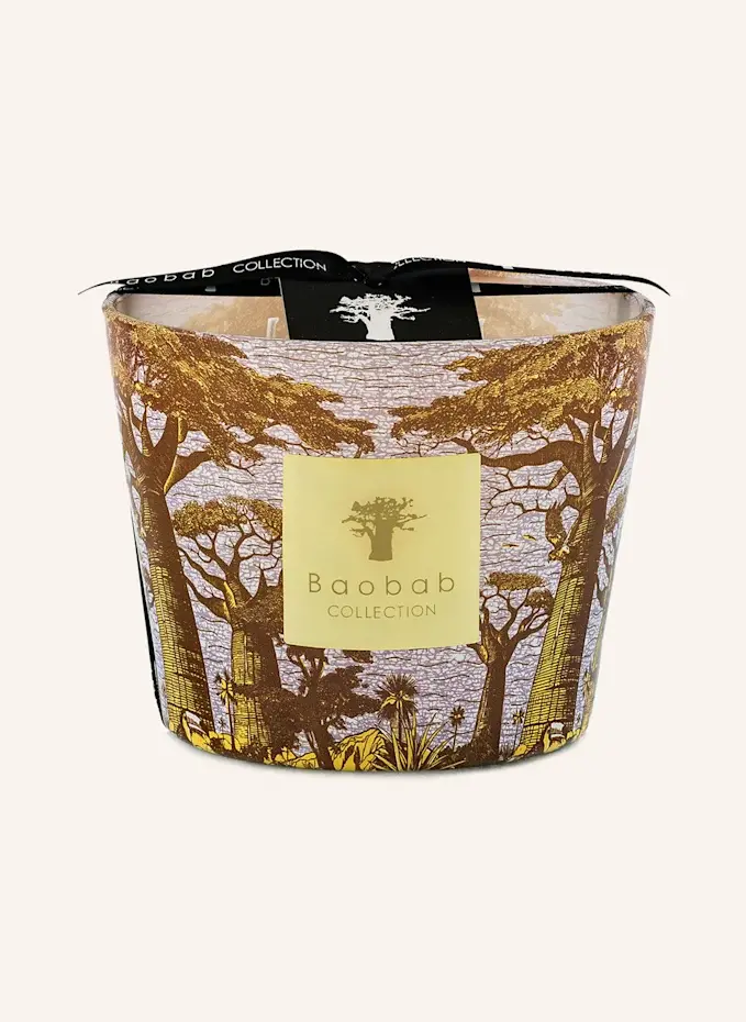 Baobab COLLECTION Baobab COLLECTION Duftkerze COCODYHöhe: 10 Cm