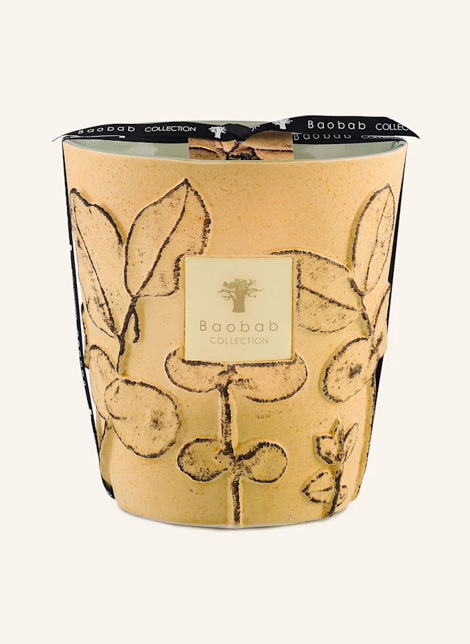 Baobab COLLECTION Baobab COLLECTION Duftkerze GARRIGUEHöhe: 16 cm