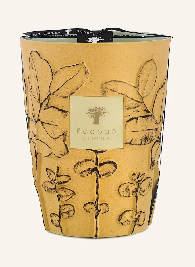 Baobab COLLECTION Baobab COLLECTION Duftkerze GARRIGUEHöhe: 24 cm