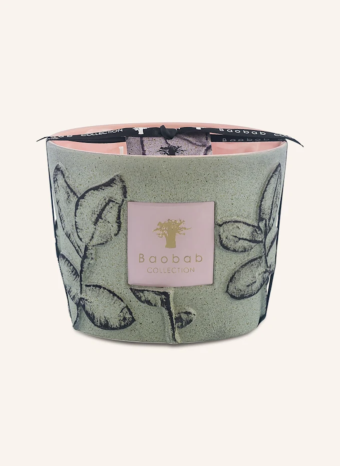 Baobab COLLECTION Baobab COLLECTION Duftkerze MAQUISHöhe: 10 Cm