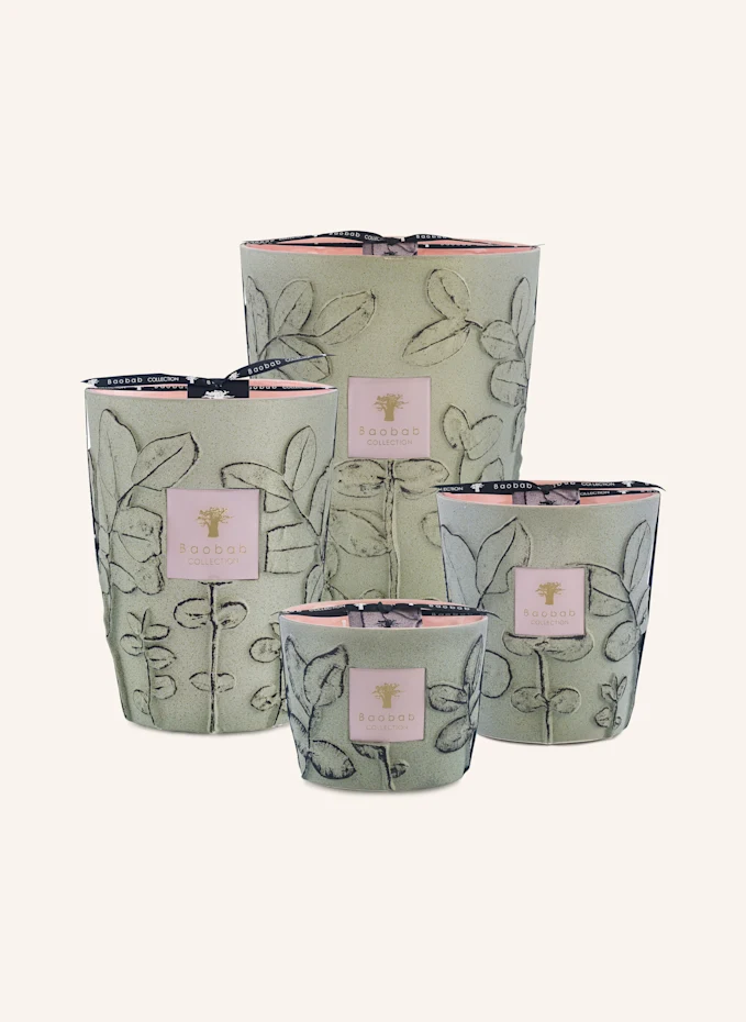 Baobab COLLECTION Baobab COLLECTION Duftkerze MAQUISHöhe: 16 Cm