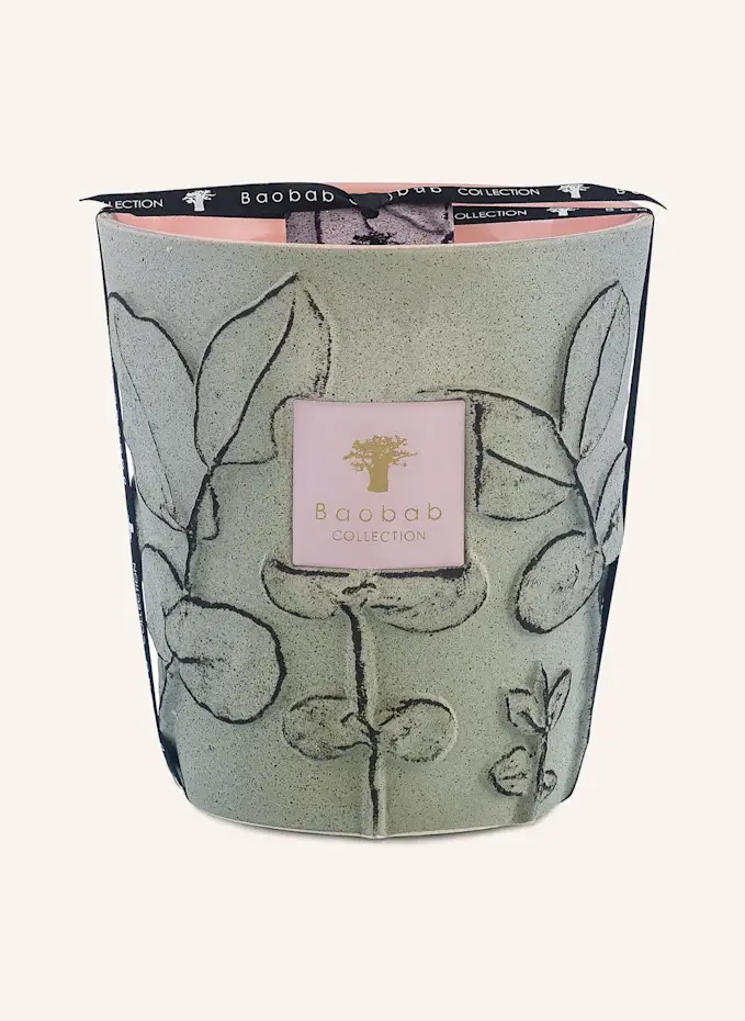 Baobab COLLECTION Baobab COLLECTION Duftkerze MAQUISHöhe: 16 Cm