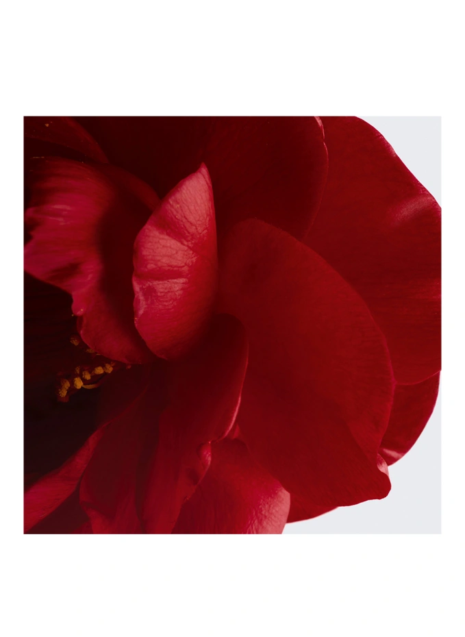 CHANEL CHANEL N°1 DE CHANEL BALSAM FÜR LIPPEN UND WANGENSchenkt Farbe - Nährt - Polstert Auf