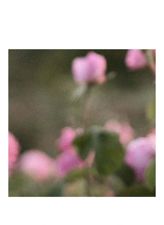 Dr. Hauschka Dr. Hauschka ROSEN KÖRPERBALSAMKörperbalsam