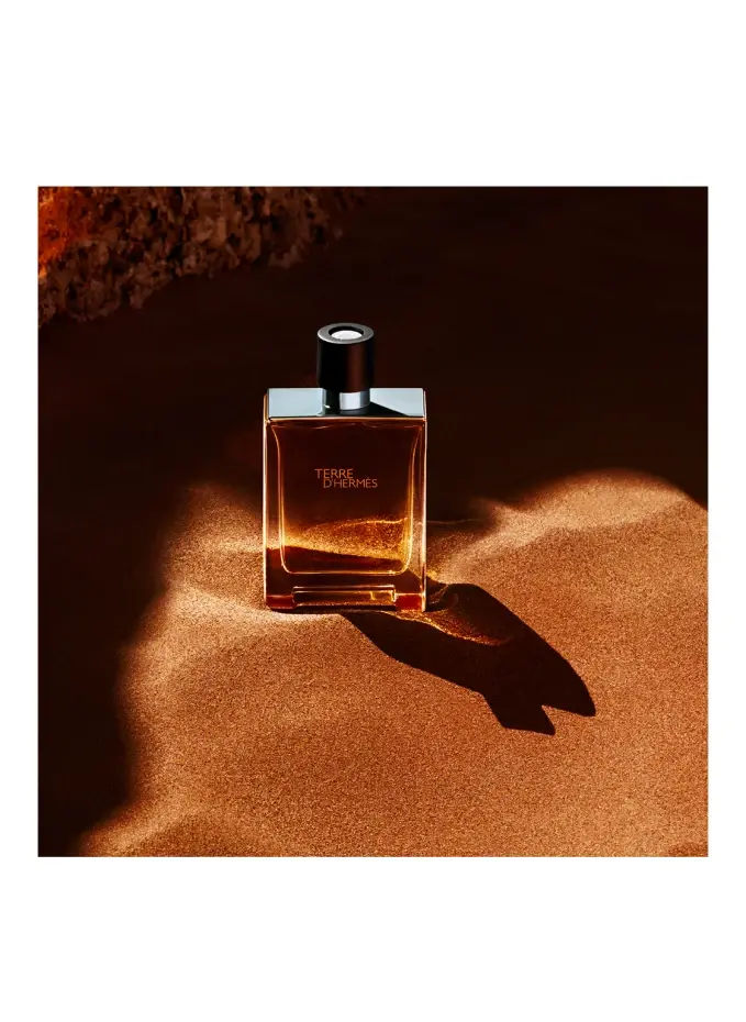 HERMÈS HERMÈS TERRE D'HERMÈSEau De Toilette