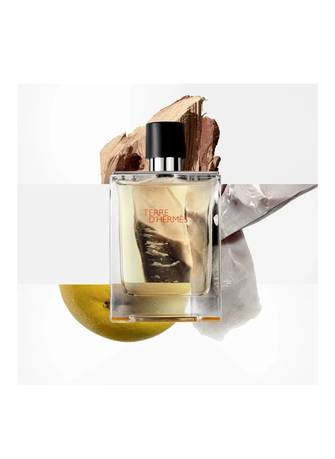 HERMÈS HERMÈS TERRE D'HERMÈSEau De Toilette
