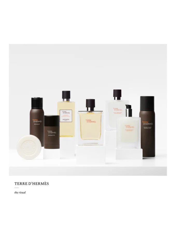HERMÈS HERMÈS TERRE D'HERMÈSEau De Toilette