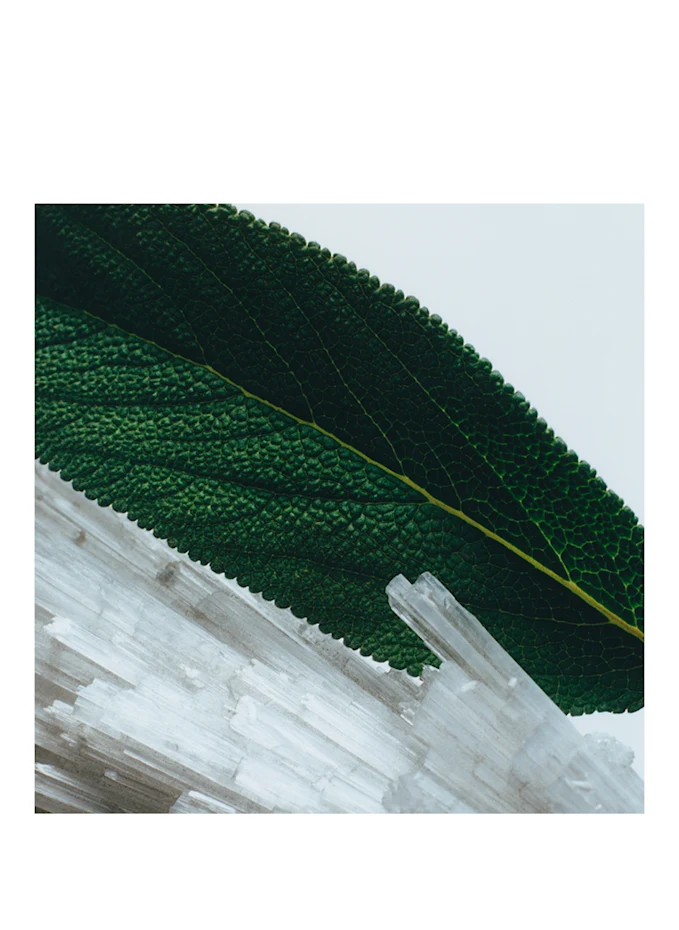 JO MALONE LONDON JO MALONE LONDON WOOD SAGE & SEA SALTDuftkerze