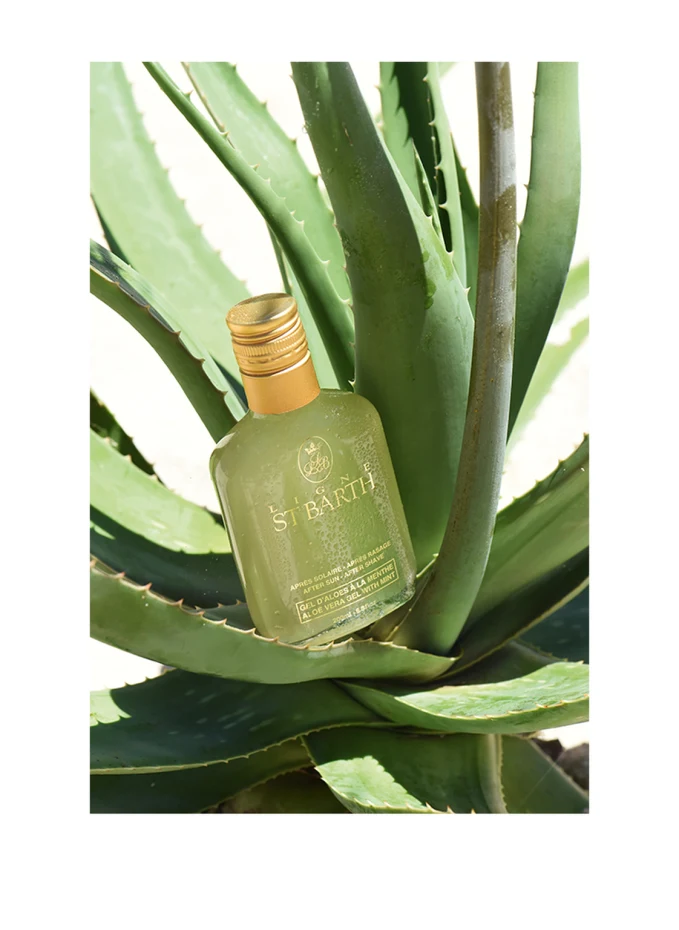 LIGNE ST BARTH LIGNE ST BARTH CORPS & BAINAloe Vera Gel With Mint