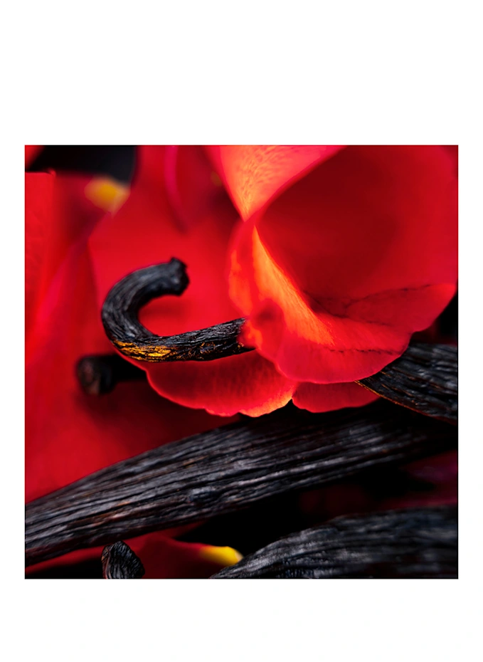 Maison Crivelli Maison Crivelli HIBISCUS MAHAJADExtrait De Parfum