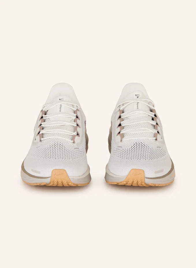 Nike Nike Laufschuhe PEGASUS 41