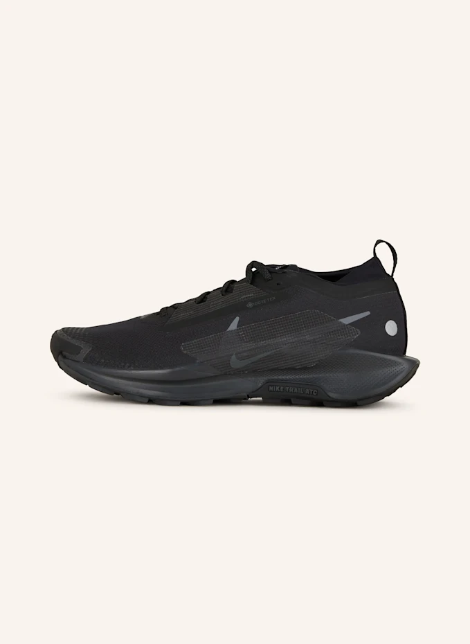 Nike Nike Trailrunning-Schuhe PEGASUS TRAIL 5 GTX