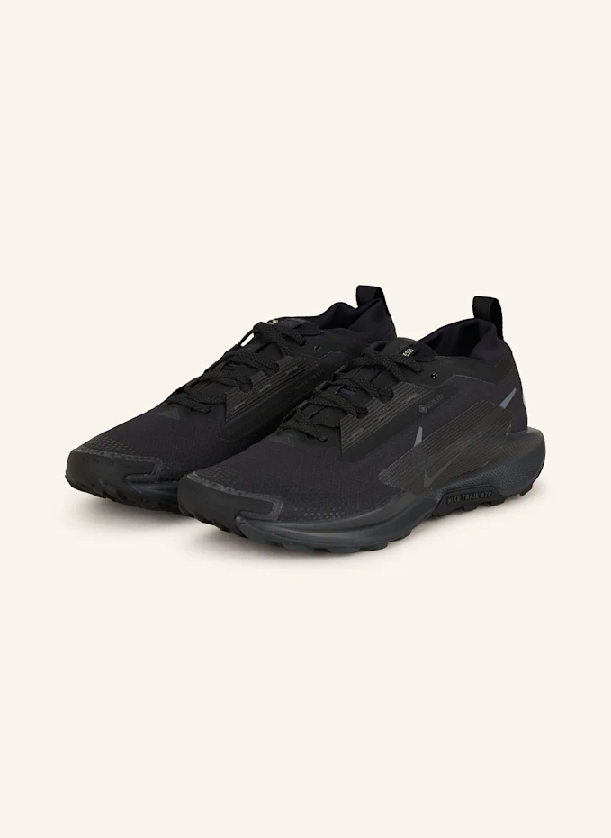 Nike Nike Trailrunning-Schuhe PEGASUS TRAIL 5 GTX