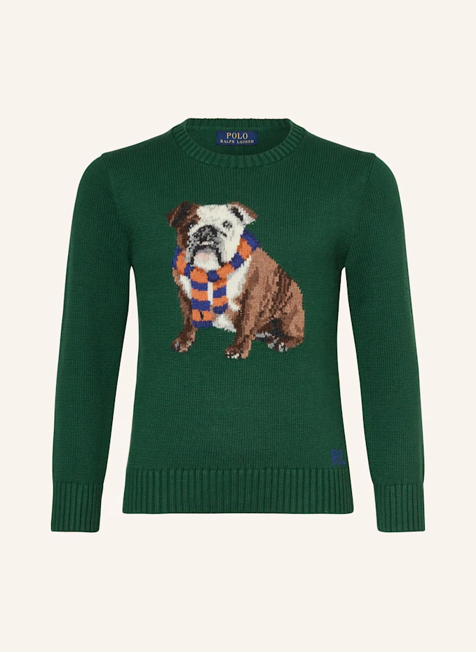 POLO RALPH LAUREN POLO RALPH LAUREN PulloverKIDS