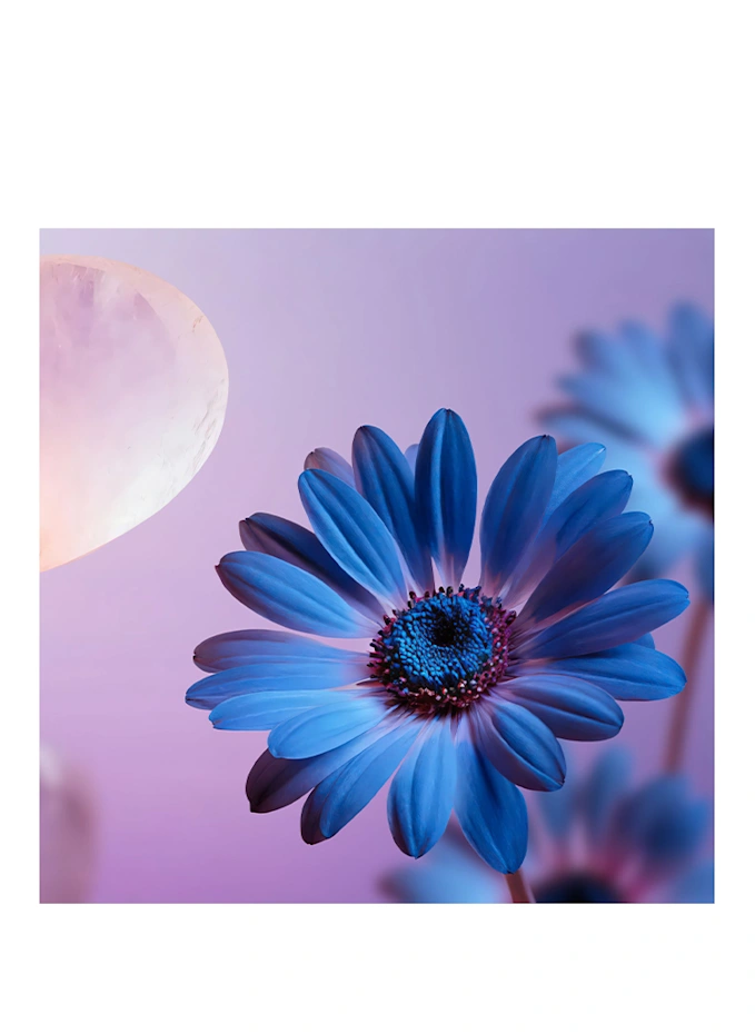 RITUALS RITUALS THE DREAM COLLECTIONKörpermousse