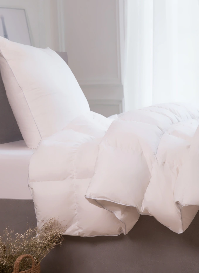 ROYFORT ROYFORT Mikrofaserkissen PrimaLoft®