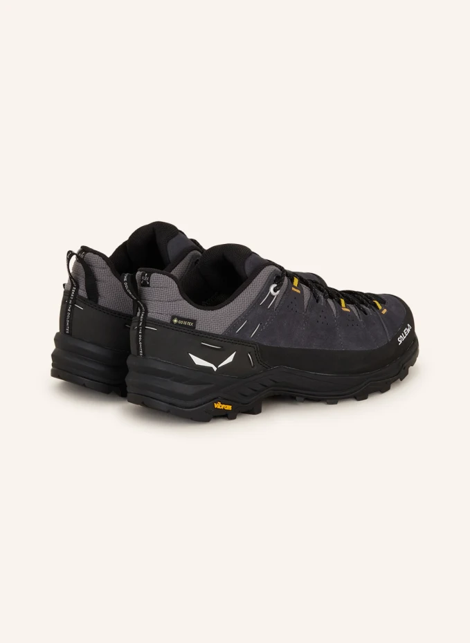 SALEWA SALEWA Wanderschuhe ALP TRAINER 2 GTX