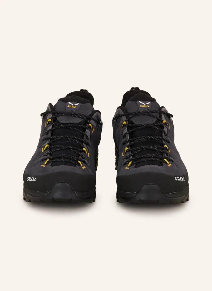 SALEWA SALEWA Wanderschuhe ALP TRAINER 2 GTX