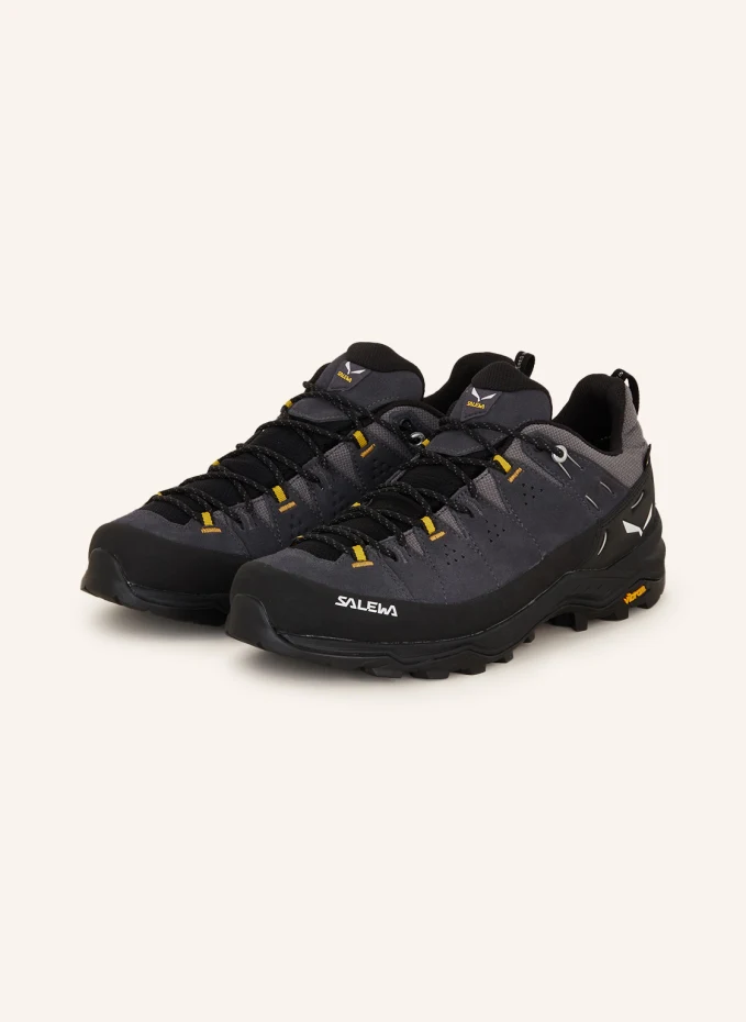 SALEWA SALEWA Wanderschuhe ALP TRAINER 2 GTX
