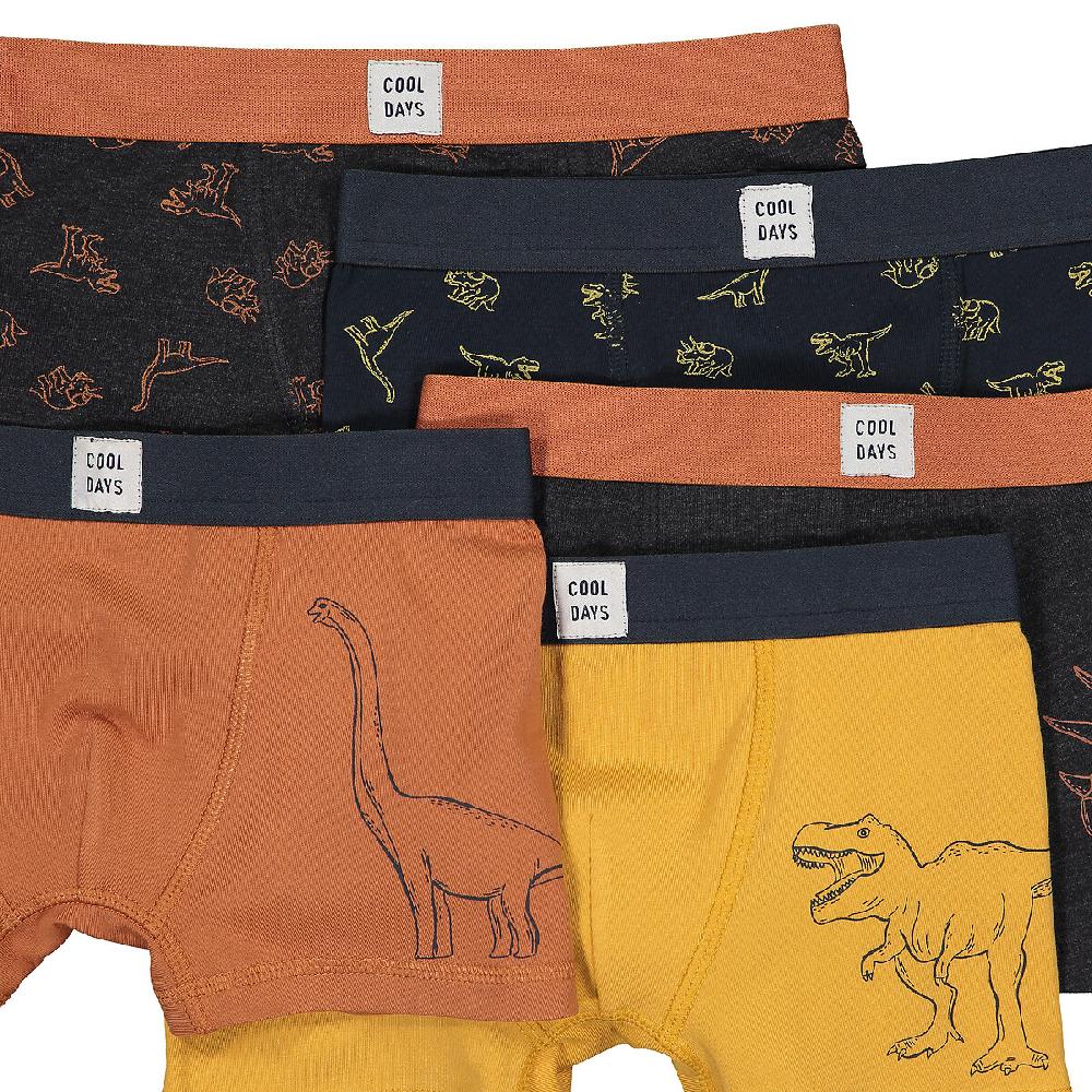 Laredoute 5er-Pack Boxerpants "Dinosaurier" Bunt LA REDOUTE COLLECTIONS
