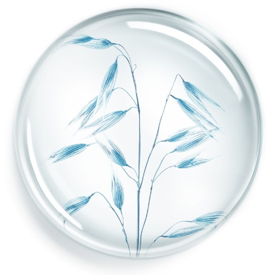 24H Coffret Soin Corps Hydratation Continue Von Annayake