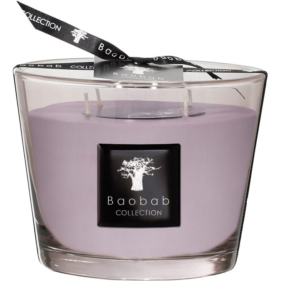 All Seasons Duftkerze White Rhino von Baobab