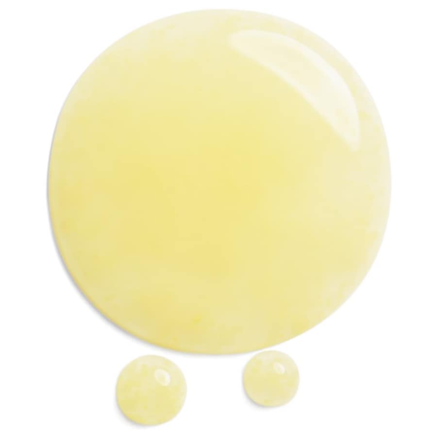 Benefiance Wrinkle Smoothing Contour Serum Von Shiseido