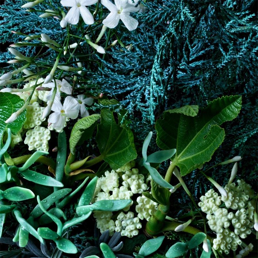 Coastal Cypress & Sea Fennel Bath Salt Von Molton Brown