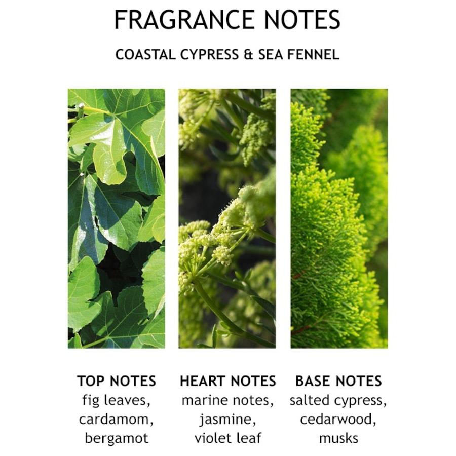 Coastal Cypress & Sea Fennel Fine Liquid Hand Wash Von Molton Brown