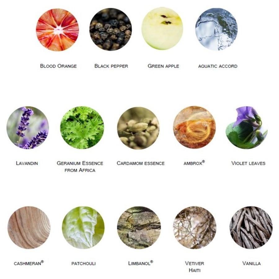 Cool Contrast Eau De Toilette Spray Von Otto Kern