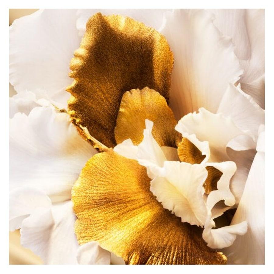 DIOR J'adore Eau De Parfum Roller-Pearl