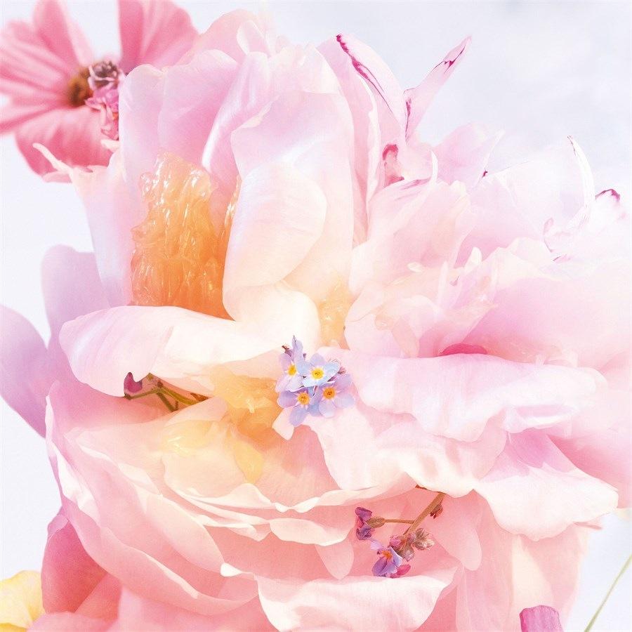 DIOR Miss Dior Roller-Pearl Blooming Bouquet
